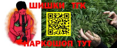 мдпв Кингисепп