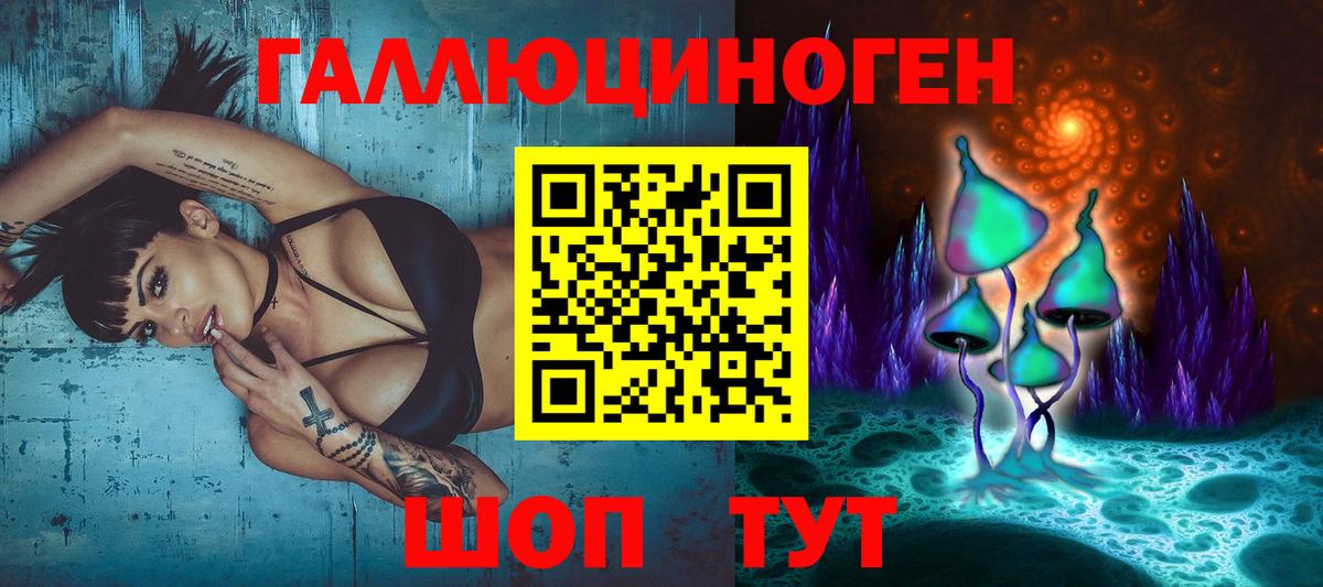 Маркс  Галлюциногенные грибы Psilocybine cubensis  Вход с VPN  Галлюциногенные грибы Psilocybine cubensis 